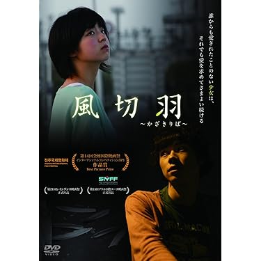 ⭐︎未開封⭐︎ 美しい日本百景　DVD 全10巻 Amazon.co.jp: 獅子王たちの夏 獅子王たちの最后 レンタル版 DVD